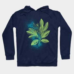 Molly's Origin Story Hoodie